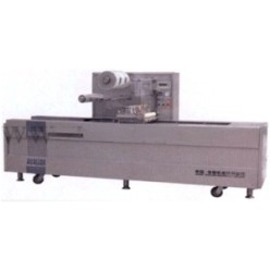 Вакуумный упаковщик DZQ-210HW