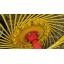 Грабли-ворошилки HARVEST SWR 11 Грабли-ворошилки HARVEST SWR 11