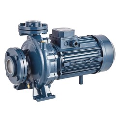 Консольно-моноблочный фланцевый насос PURITY PSTC 65-250/220 (N)