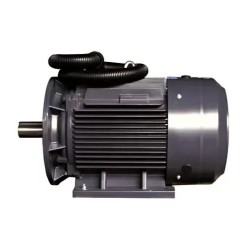 Электродвигатель компрессора Dali DL-75 (75кВт, 3000 об.мин, IEC/DIN, IE2/IE3, IP55)