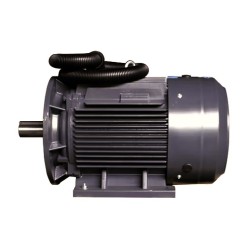 Электродвигатель ET-YE2-250M-2 B35 (55 кВт, 2970 об.мин., IEC/DIN, IE2, IP55)