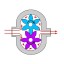 Насос шестеренчатый Fraccarolo - FA/3 - 1,5/1500 300C° (FAM/3) Насос шестеренчатый Fraccarolo - FA/3 - 1,5/1500 300C° (FAM/3)
