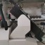 Кромкооблицовочный станок Woodtec Compact mini 300-2 Кромкооблицовочный станок Woodtec Compact mini 300-2